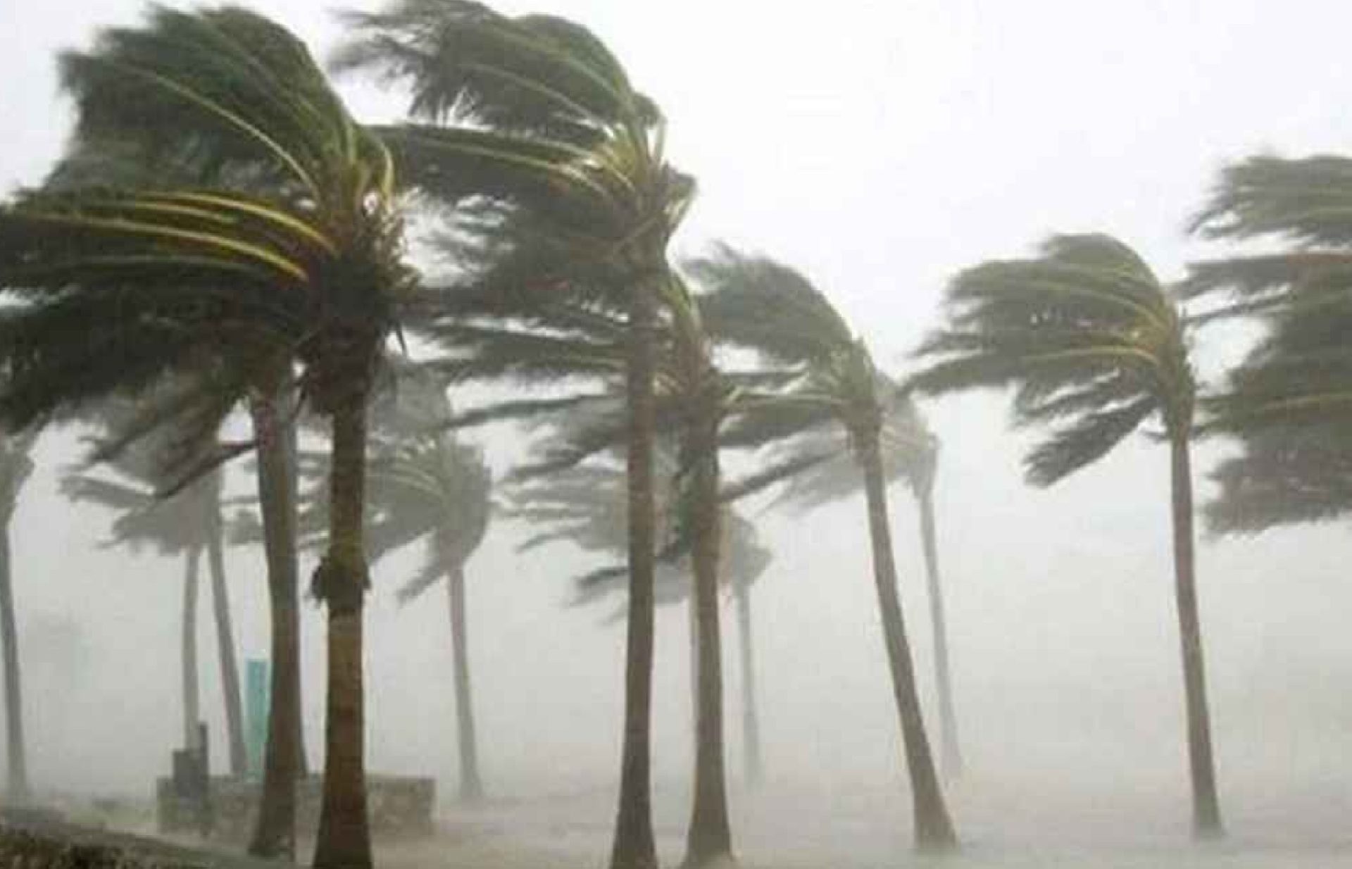 দেশের ৩ বিভাগে বজ্রসহ বৃষ্টির আভাস