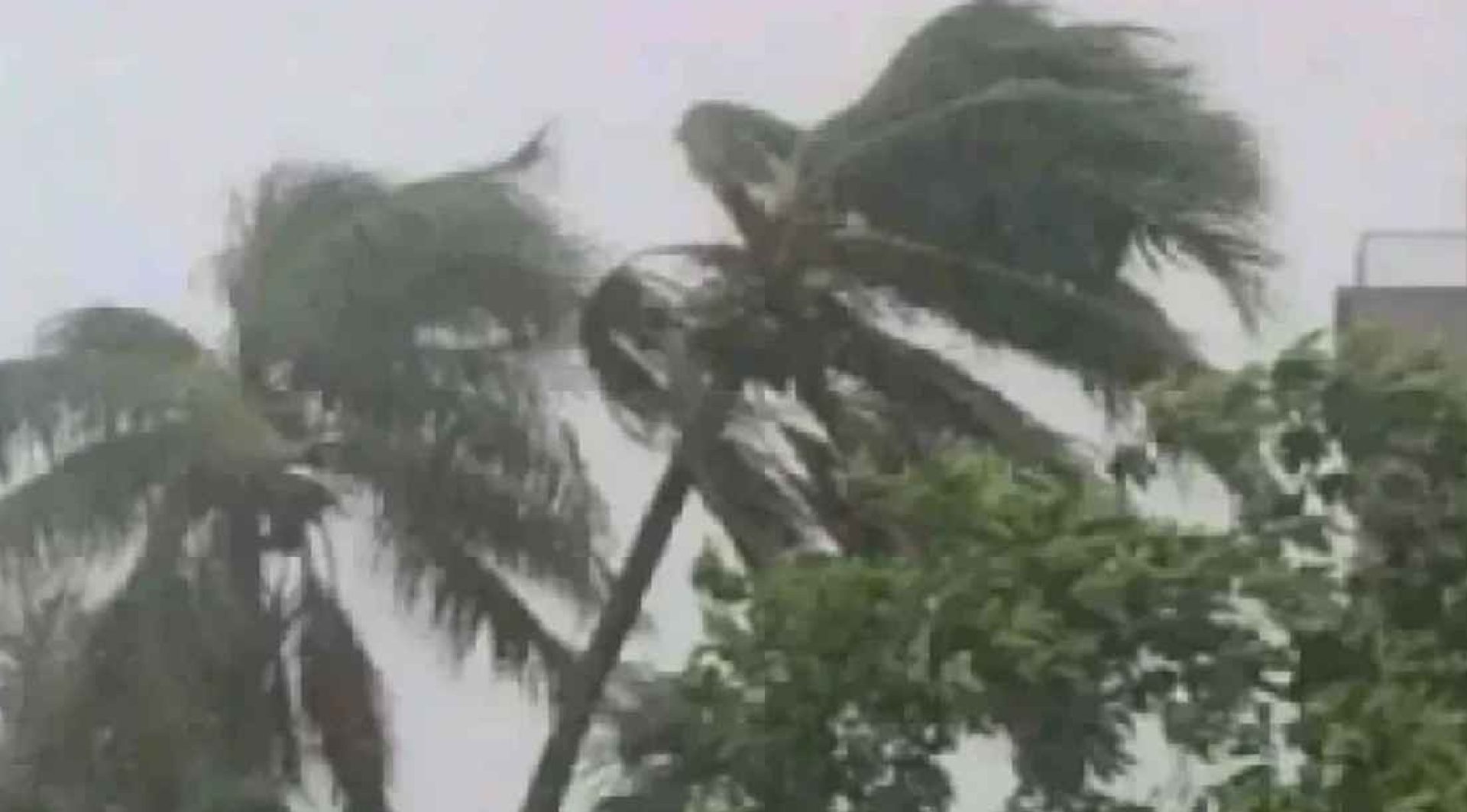 দুই জেলায় ৬০ কিমি বেগে ঝড়ের আভাস